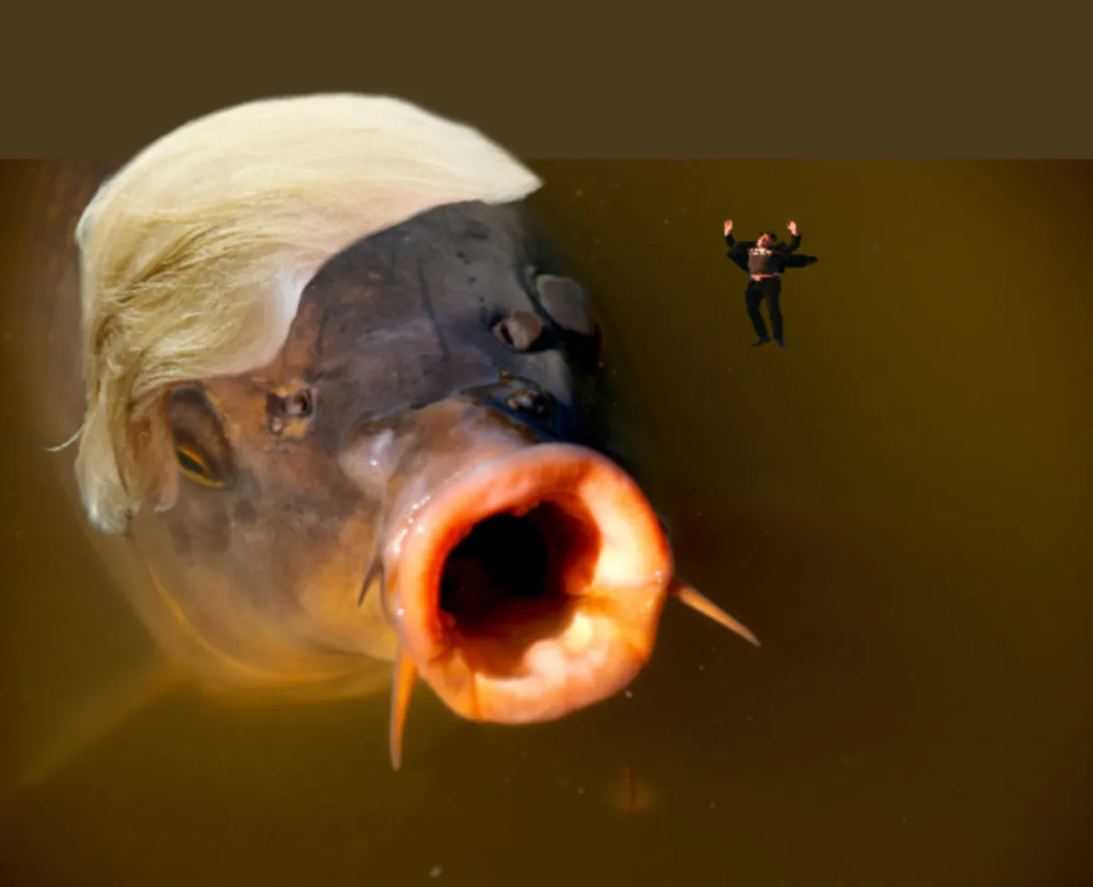 A large fish with a blonde wig resembling Donald Trump's hairstyle is shown with its mouth open, while a tiny person in a…