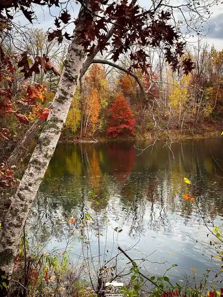 A serene autumn landscape featuring a calm lake reflecting colorful trees with red, orange, and yellow foliage. A prominent…