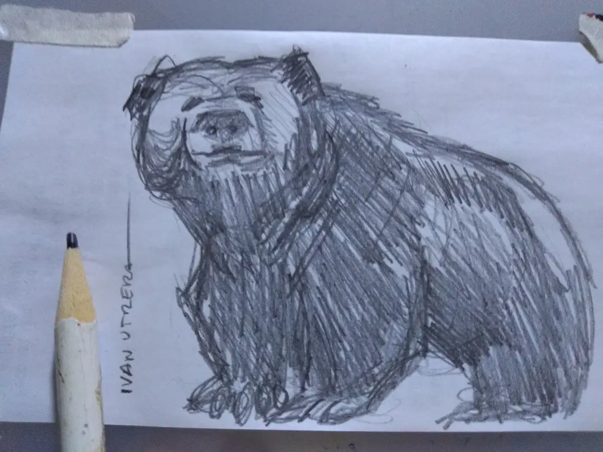 A hand-drawn pencil sketch of a bear on white paper, taped to a surface with tape at the top corners. A pencil with a…