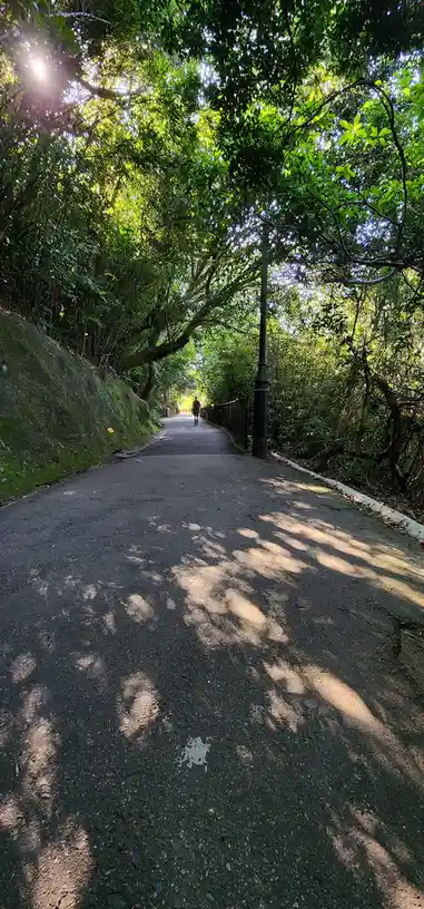 A person walks away down a tree-lined paved path, with sunlight filtering through the leaves. The overlaid text reads 'i'm…