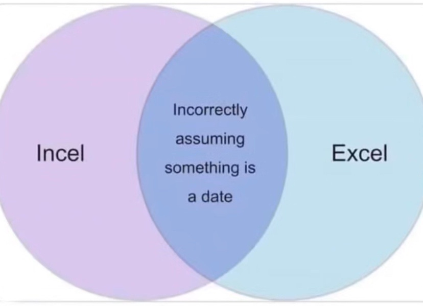 A Venn diagram with two overlapping circles labeled 'Incel' and 'Excel'. The overlapping section contains the text…