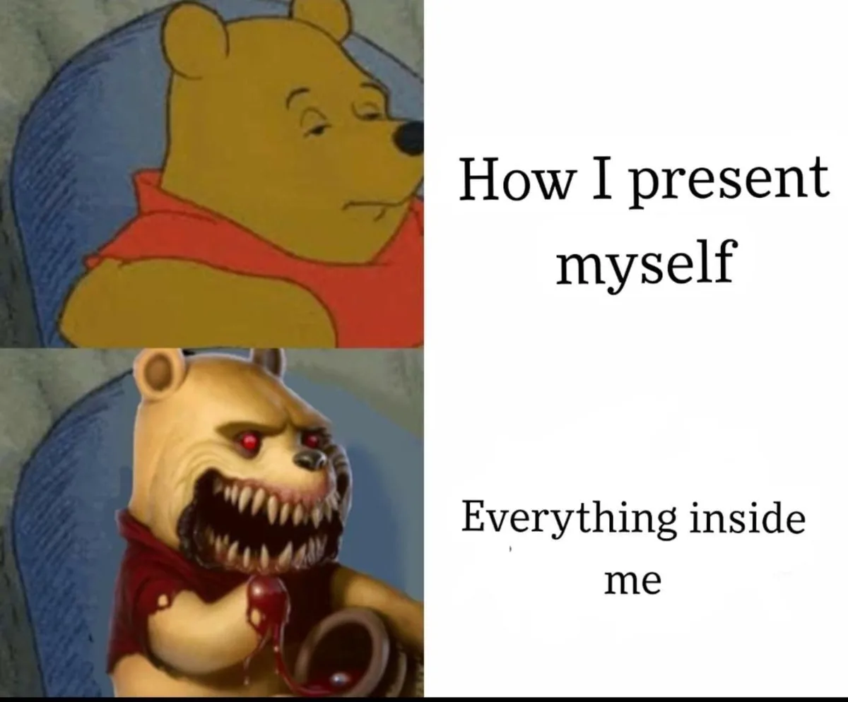 The image is a two-panel meme. The top panel shows a cartoon Winnie the Pooh with a calm, friendly expression. The bottom…