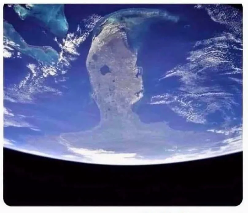 When Florida Turns Upside Down, It Resembles the Grinch!