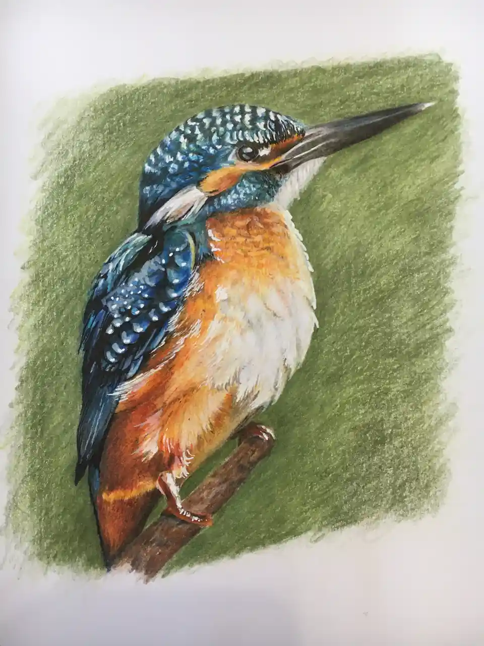 A detailed colored pencil drawing of a kingfisher bird perched on a branch against a green background, with overlaid text…