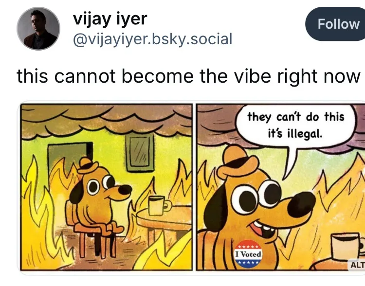 A two-panel comic strip featuring a cartoon dog sitting calmly in a room engulfed in flames. In the first panel, the dog…