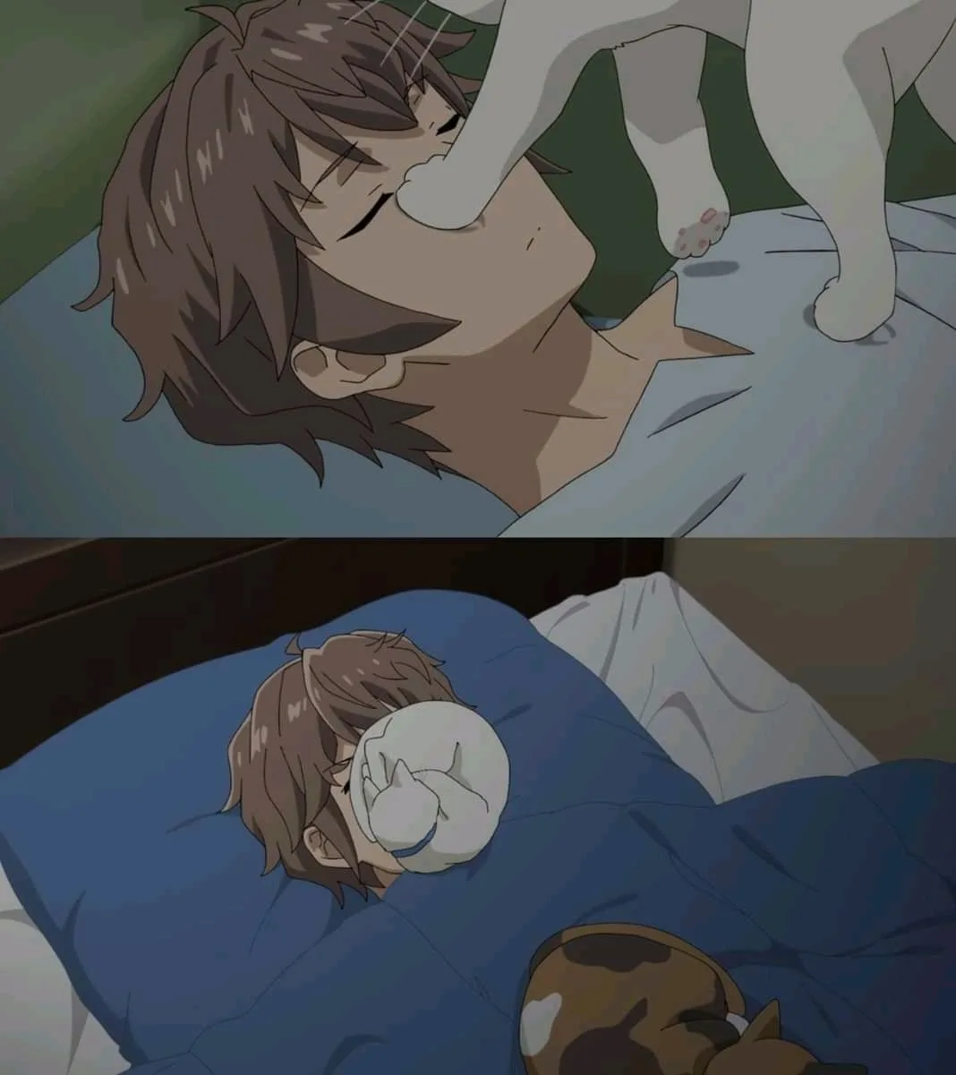 The Routine of Every Night: A Familiar Tale