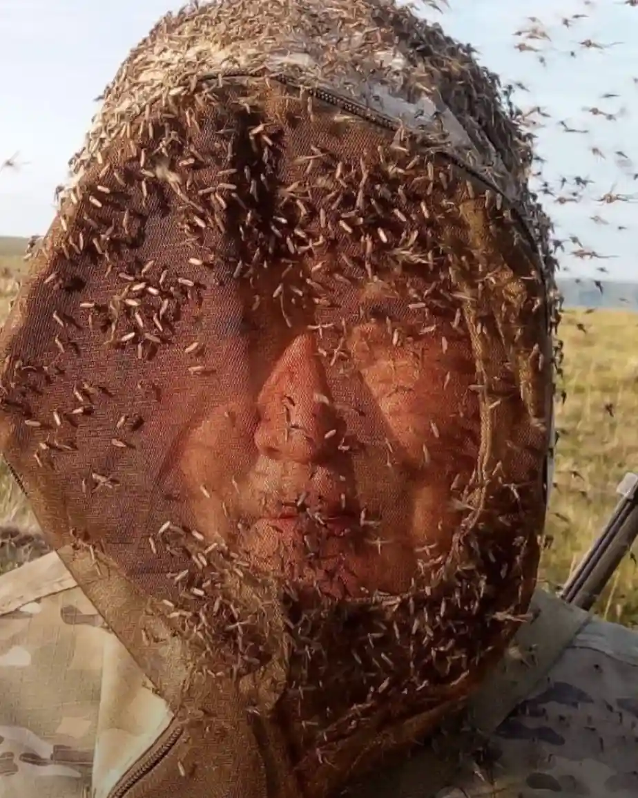A person wearing a camouflage-patterned mesh head net outdoors, with hundreds of mosquitoes visibly crawling all over the…