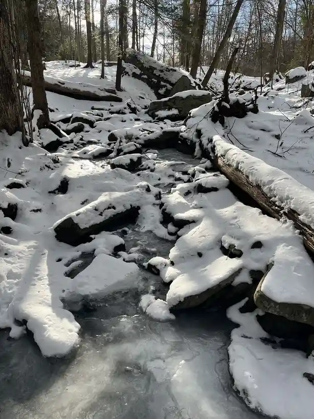A snowy forest scene shows a partially frozen stream winding through snow-covered rocks and fallen logs, with bare trees in…
