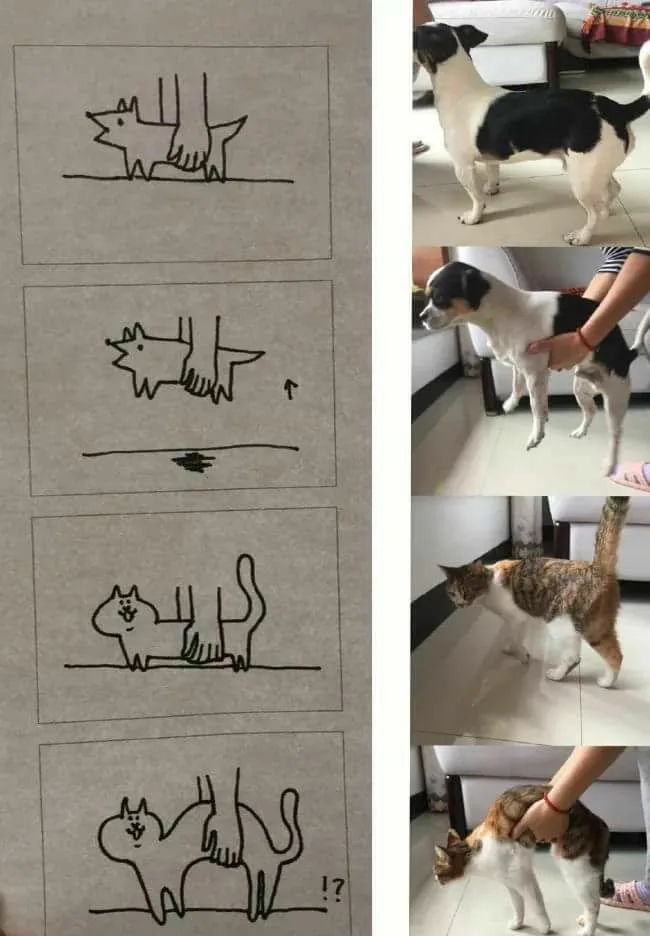 The image displays a side-by-side comparison: on the left, four simple stick-figure drawings show a dog and a cat being…