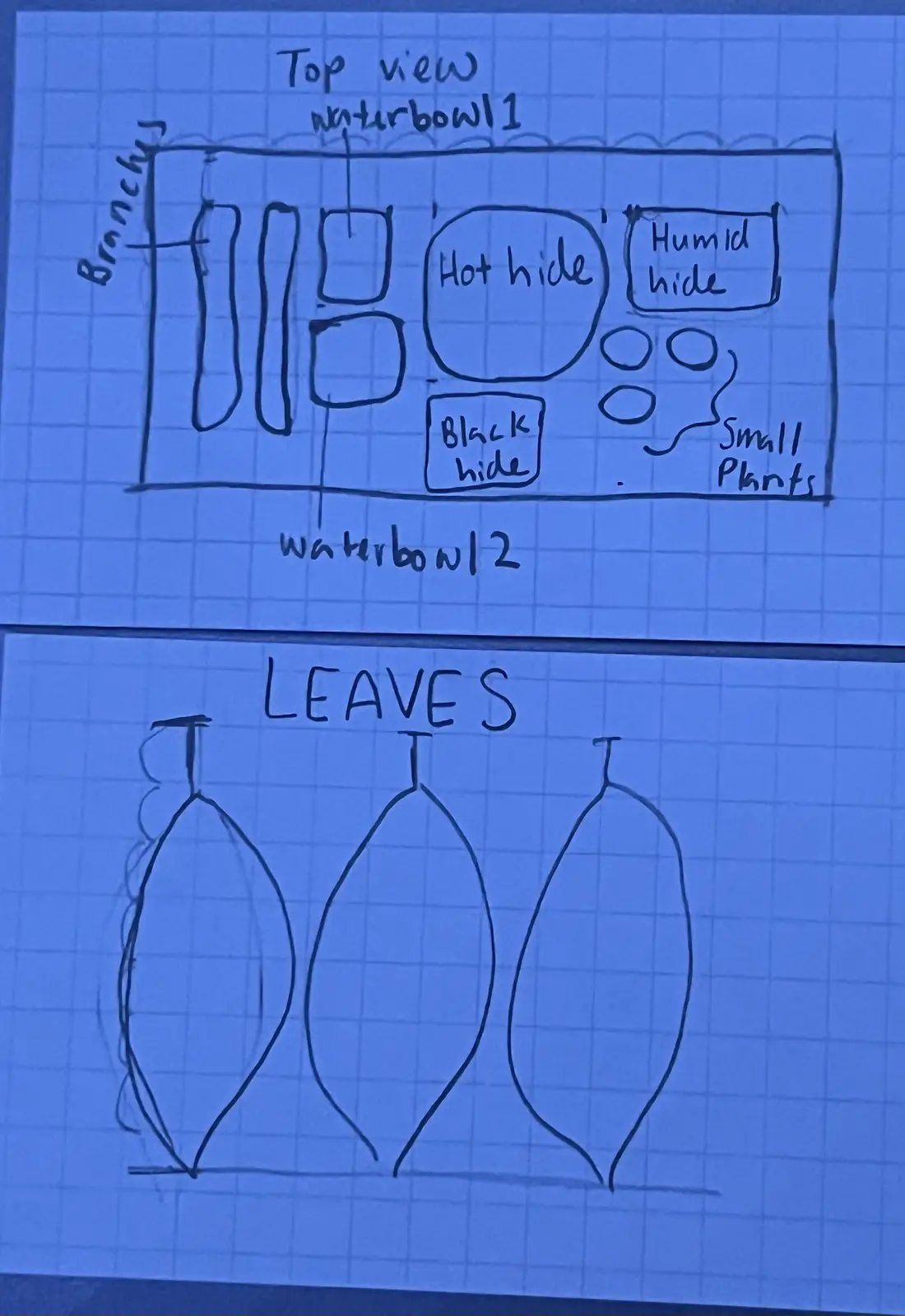 A hand-drawn diagram on graph paper shows a top view of a reptile enclosure layout labeled 'Top view waterbowl1' with areas…