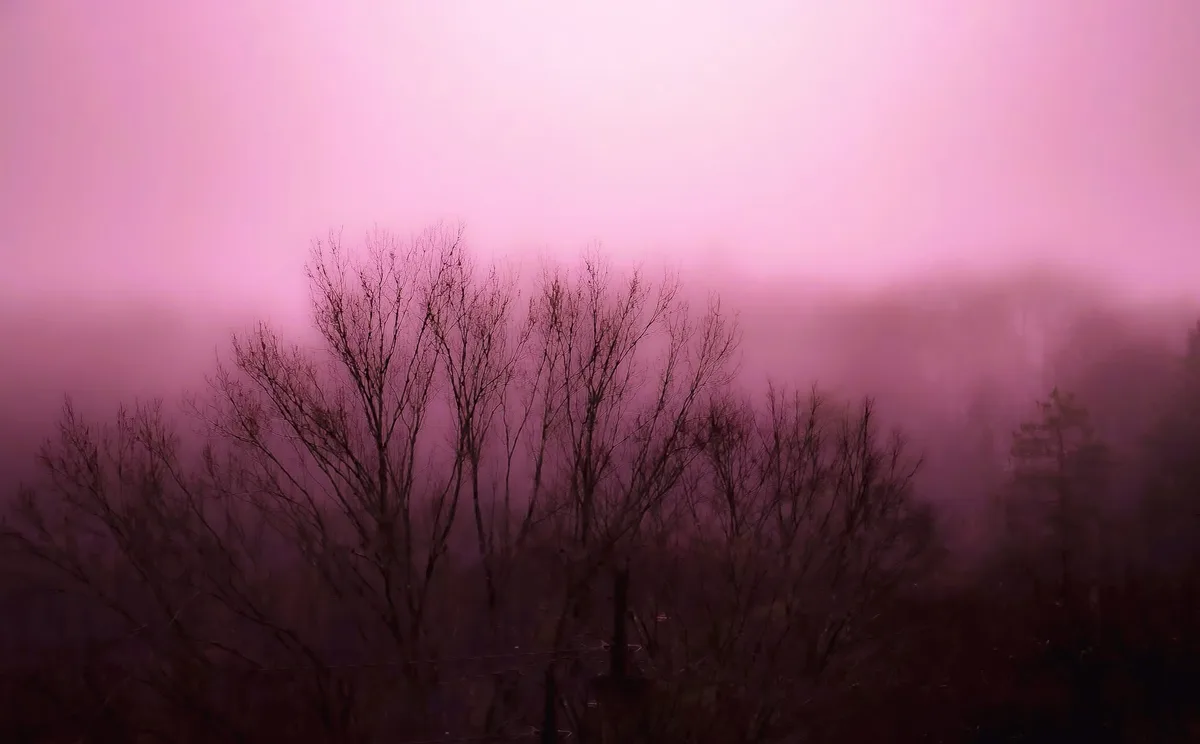 Breathtaking Pink Sunrise