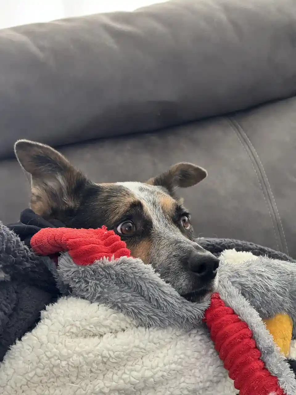 Tuning in to the Election Results...