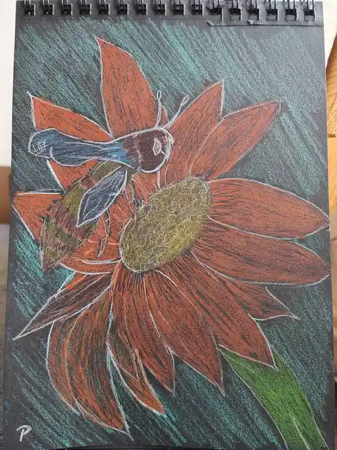 A chalk drawing on a spiral-bound sketchbook page shows a large orange flower with a yellow center, set against a teal…