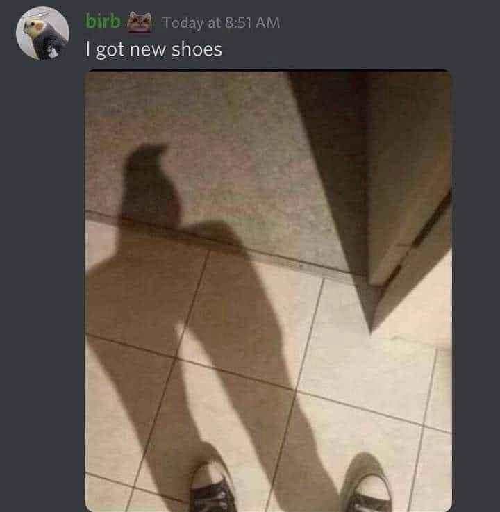 A screenshot of a social media post by a user named 'birb' with a profile picture of a bird. The post shows a first-person…
