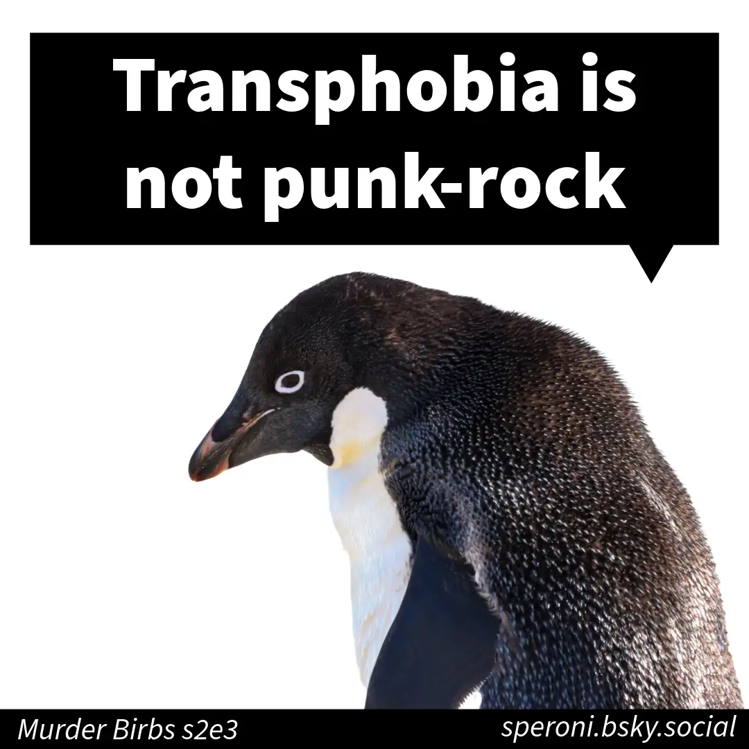 A close-up image of an Adélie penguin in profile against a white background, with a black speech bubble above its head…