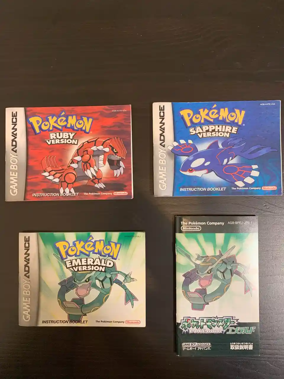 The Missing Braille Translation in Pokemon RSE Manuals