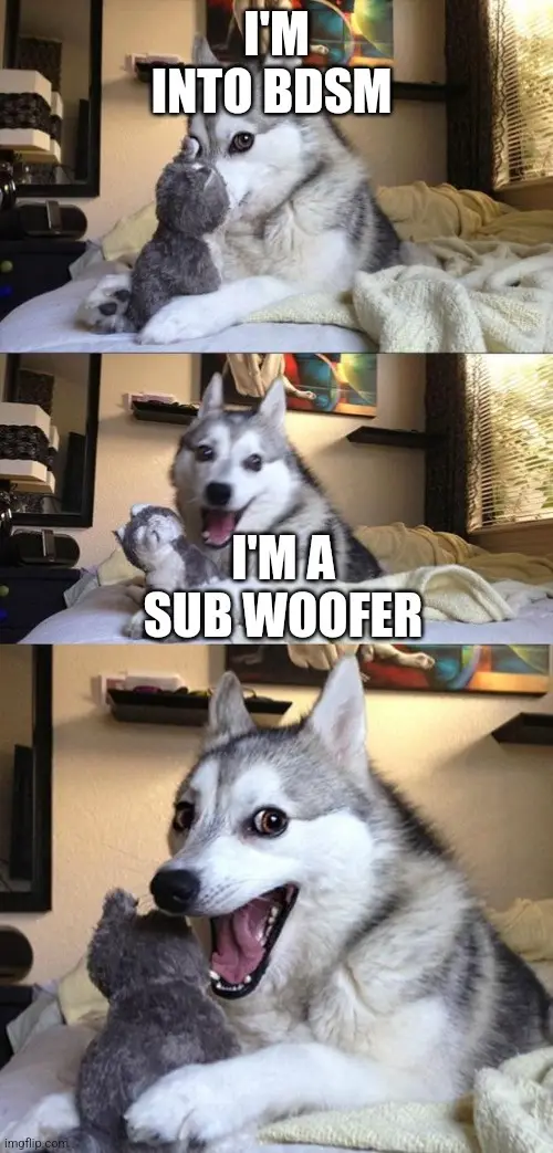 A three-panel meme featuring a husky dog on a bed with a stuffed animal. In the top panel, the dog looks at the toy with…
