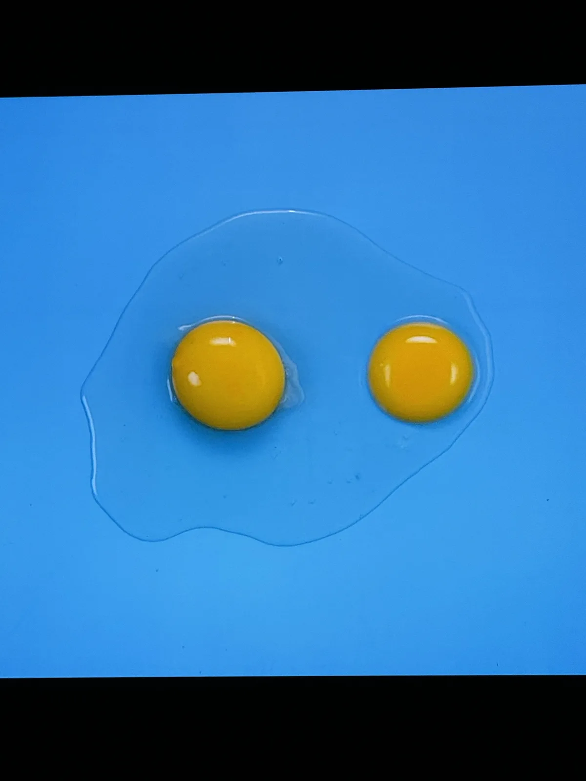 A single cracked egg with two distinct, intact yellow yolks sitting side-by-side within the clear egg white, all placed on a…