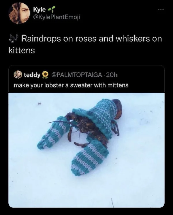 Meme Advent Calendar: Day 3 of 24