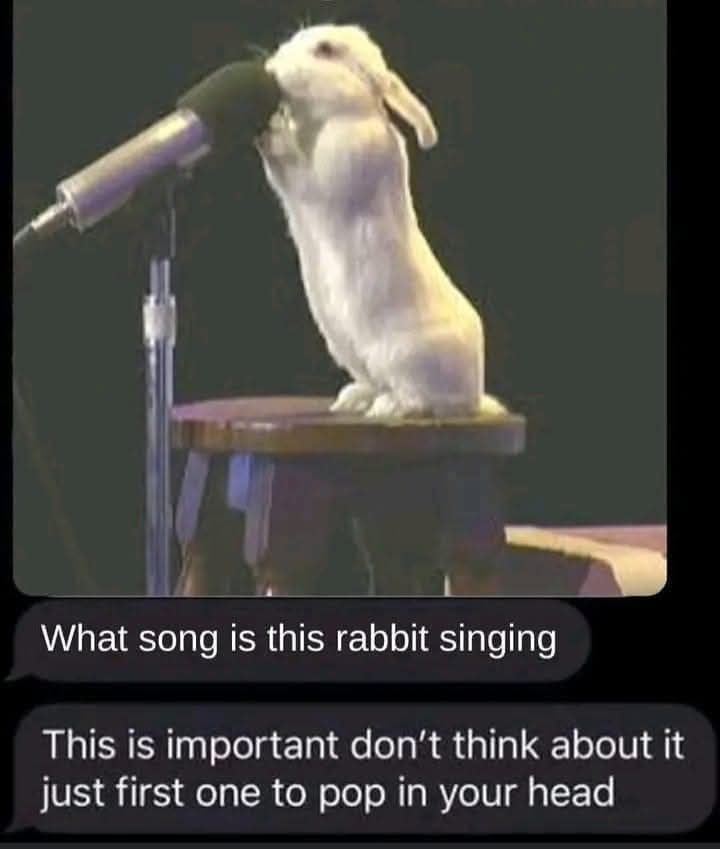 A white rabbit sits upright on a wooden stool, leaning forward to sing into a microphone on a stand. The image is overlaid…