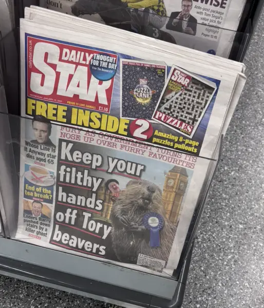 A close-up photo of a Daily Star newspaper front page featuring a beaver wearing a blue ribbon, with the headline 'Keep your…