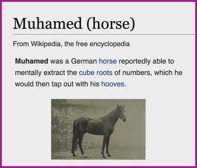The image displays a Wikipedia-style article page with a black-and-white photo of a horse below the title 'Muhammed…