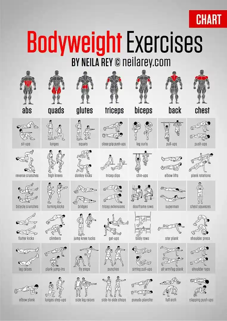 A fitness infographic titled 'Bodyweight Exercises' by Neila Rey, showing 30 illustrated exercises arranged in a grid. Each…