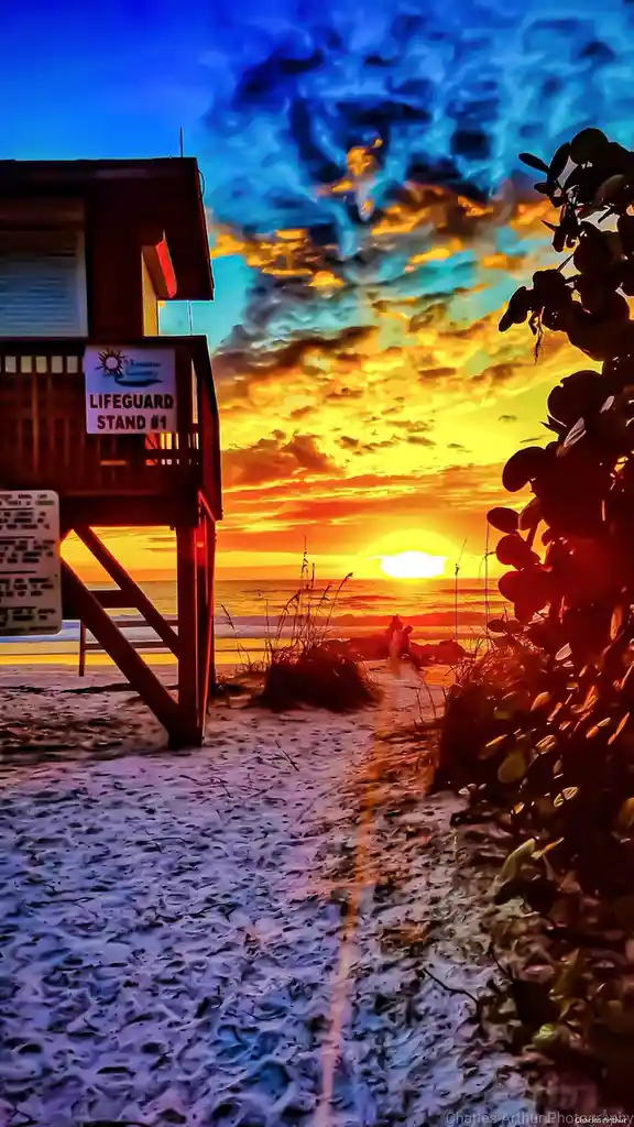 The Lifeguard Tower: A Watchful Eye on the Waves