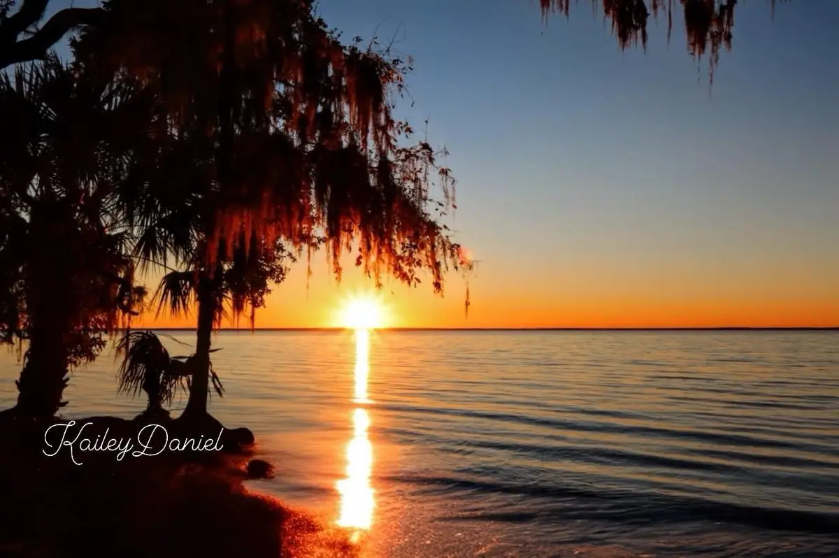 A serene sunset over calm water with silhouetted trees draped in Spanish moss framing the scene; the sun's reflection…