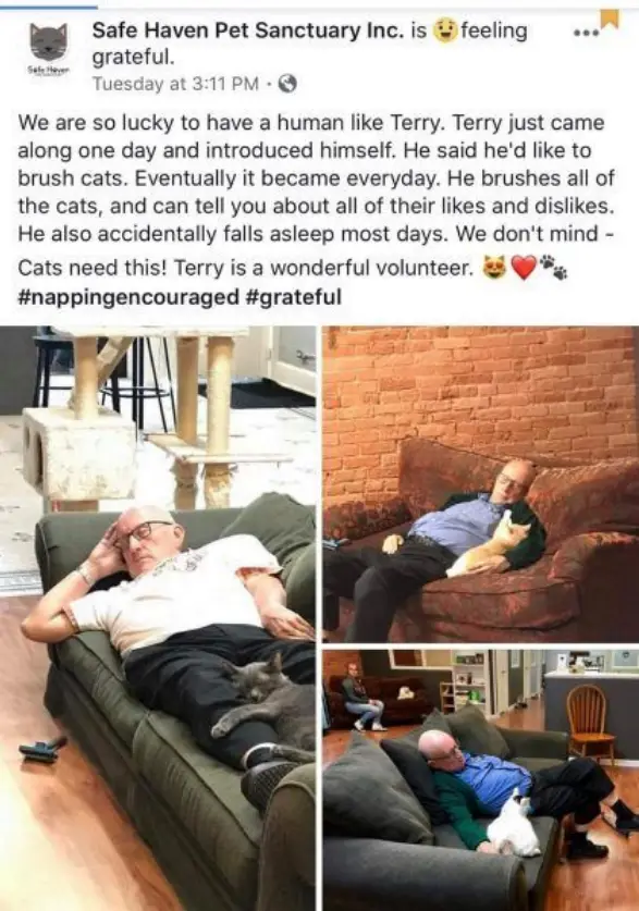 Terry’s Superpowers: Knowing His Strengths and Where to Shine
