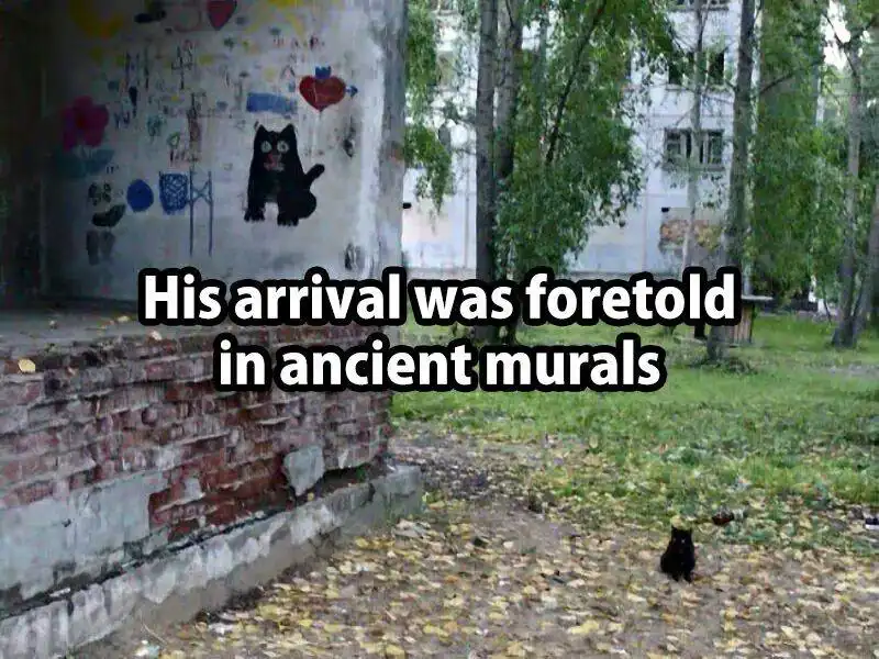 A small black cat sits on a leaf-covered path near a brick wall, with a weathered concrete wall behind it covered in…