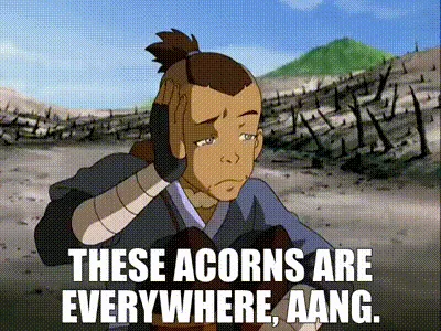 A six-panel comic strip from 'Avatar: The Last Airbender' shows Katara repeatedly telling Aang, 'these acorns are…
