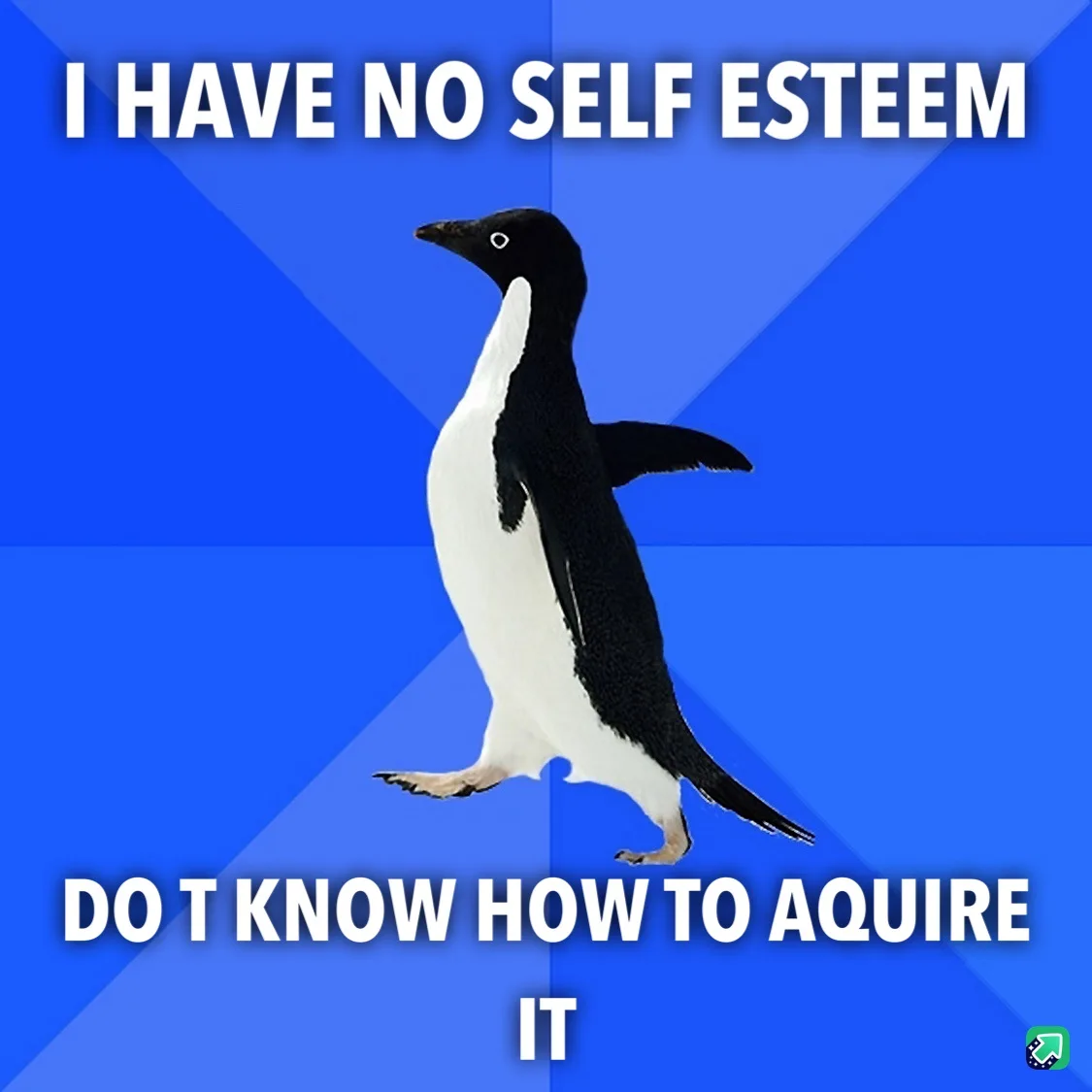 A black-and-white penguin stands against a blue geometric background, with the text 'I HAVE NO SELF ESTEEM' at the top and…