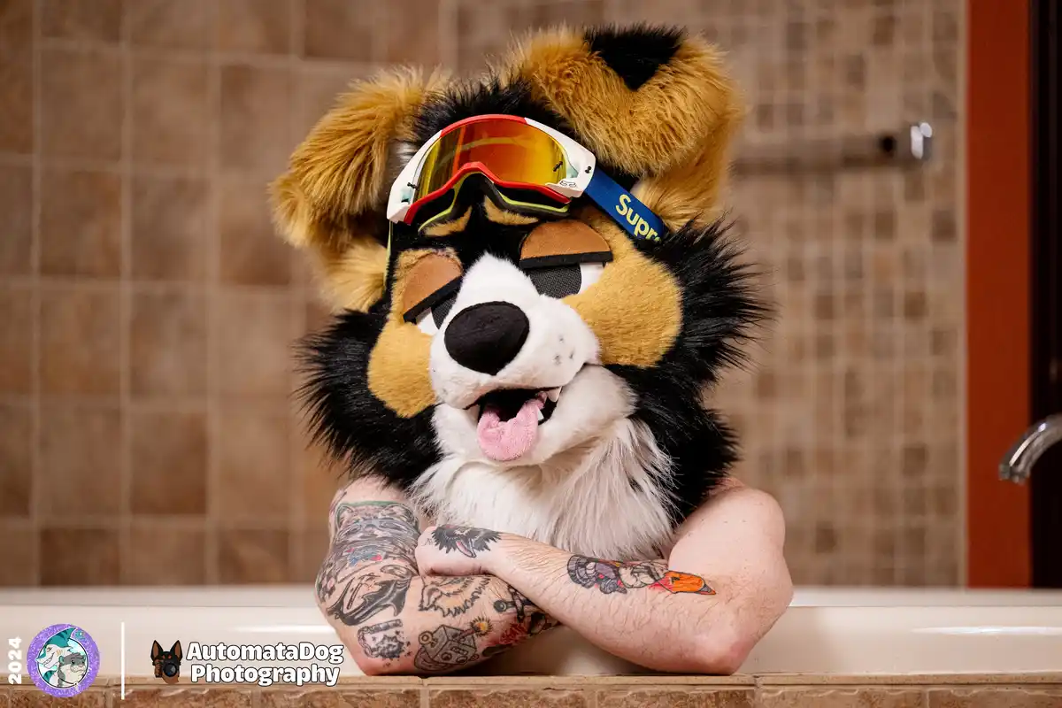 A person in a tri-color dog fursuit with a pink tongue out and arms crossed, wearing ski goggles with a blue strap that…