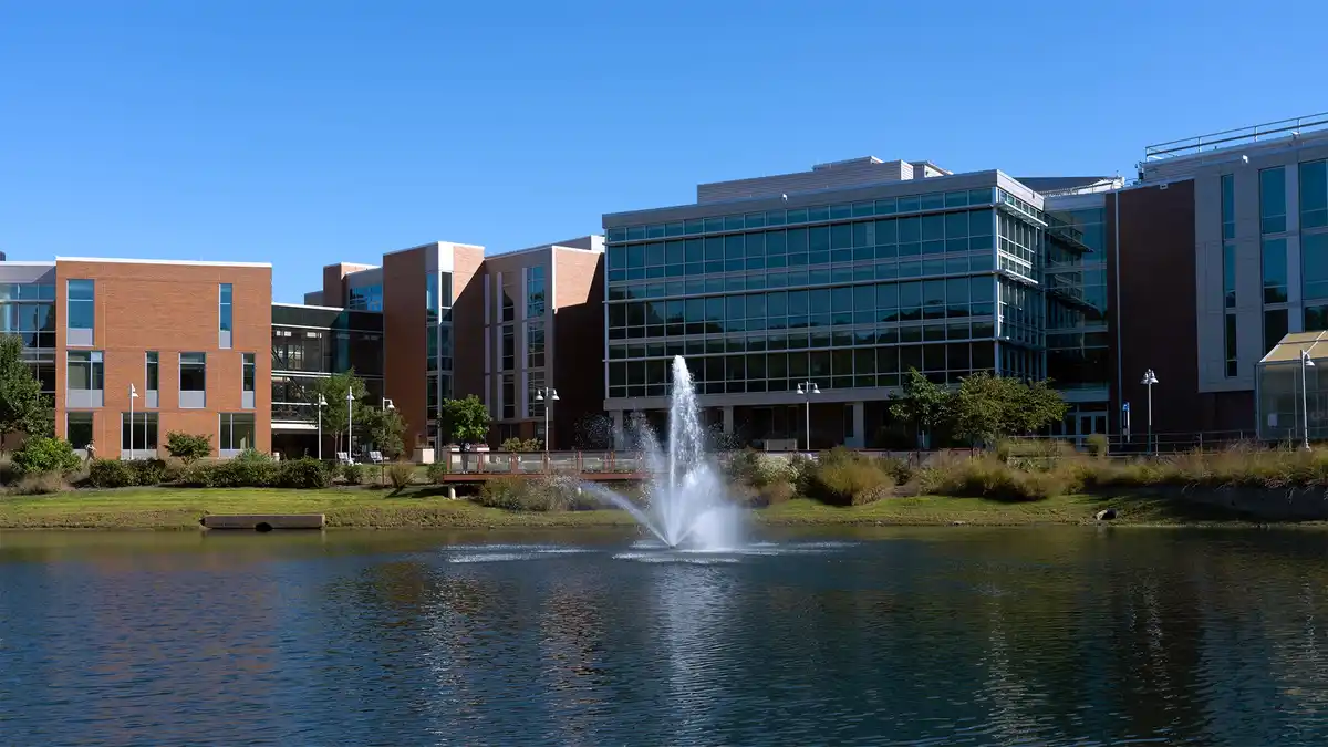 A serene campus scene with modern brick and glass buildings under a clear blue sky, centered around a pond with a prominent…