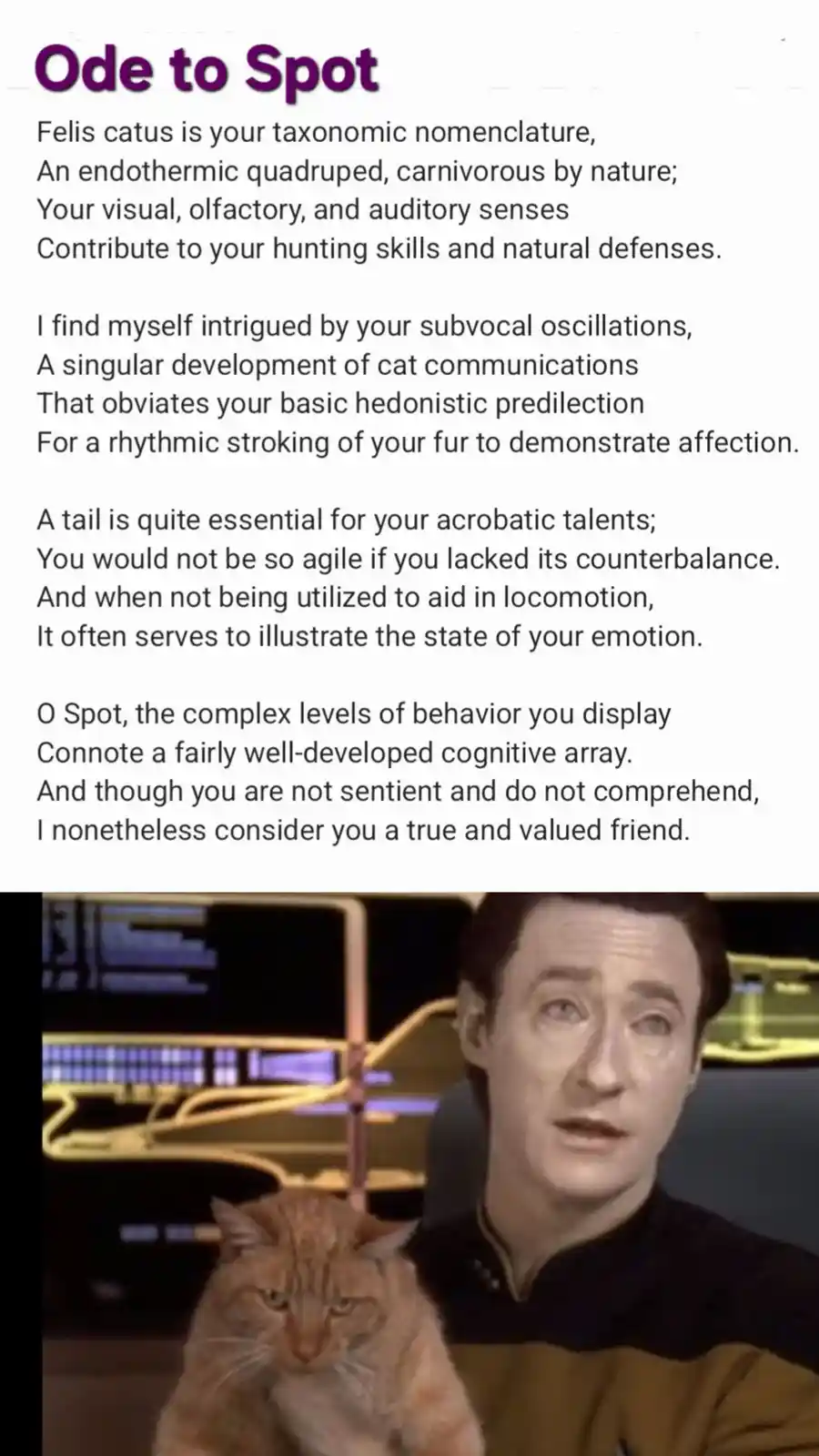 The image displays a poem titled 'Ode to Spot' describing a cat's biology and behavior, followed by a photo of actor Patrick…