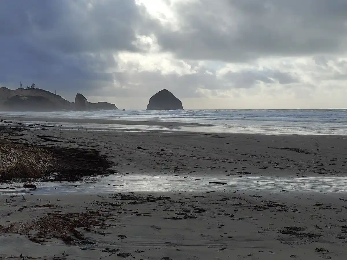A wide, moody beach scene with dark sand, scattered seaweed, and waves rolling in under a cloudy sky. In the distance, large…