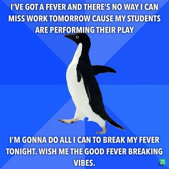 A black-and-white penguin stands against a blue background with white text overlaid in two sections. The top text reads…