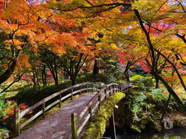 Exploring the Beauty of Kyoto