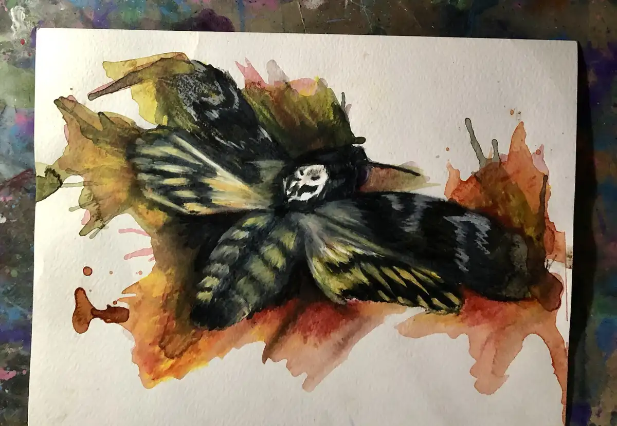 A watercolor painting depicts a butterfly with a small, white, cartoonish face drawn on its thorax, surrounded by abstract…