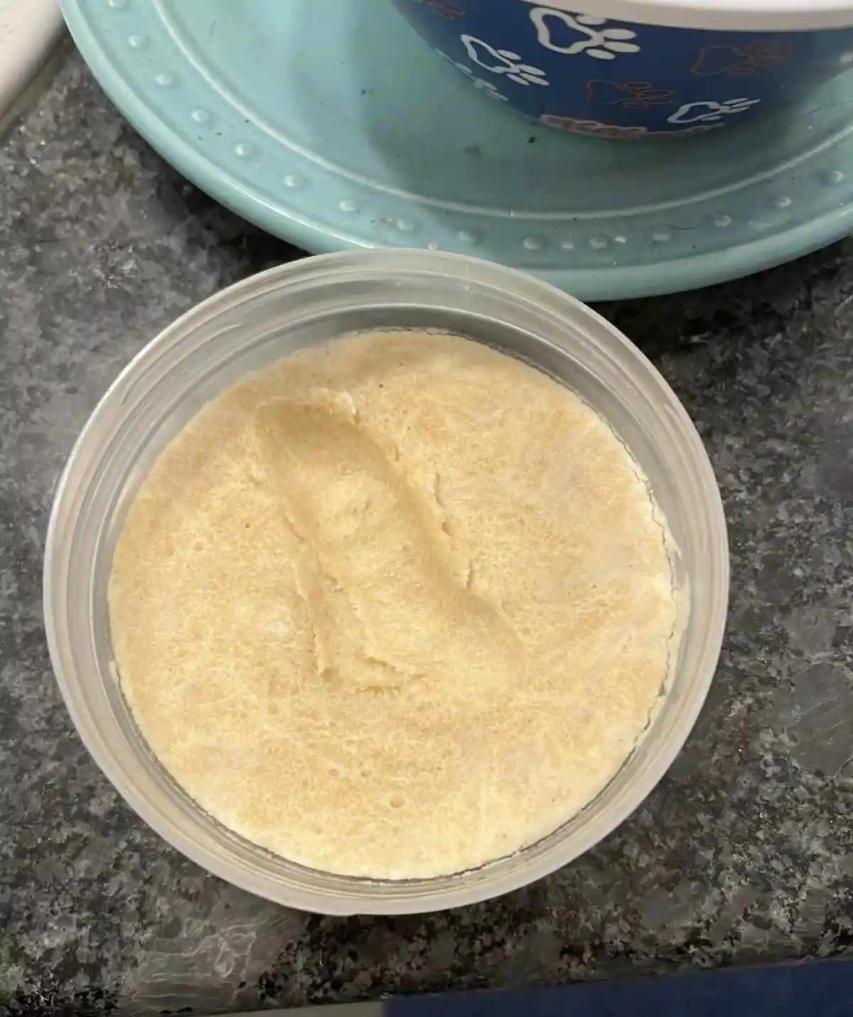 A top-down photo shows a clear plastic container filled with a pale yellow, textured substance resembling dog food, with a…