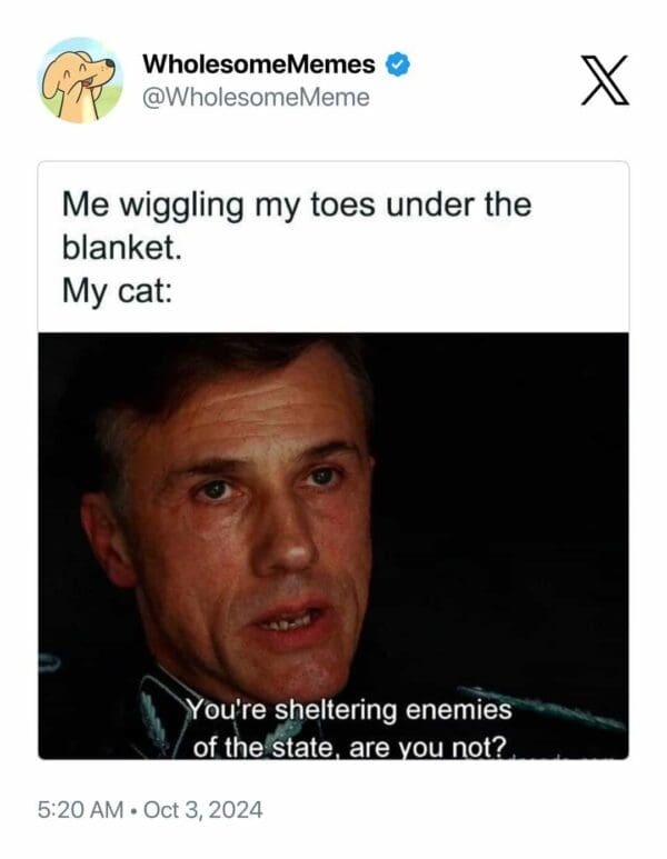 A screenshot of a tweet from 'WholesomeMemes' showing a still image of a man in a dark uniform with a serious, accusatory…