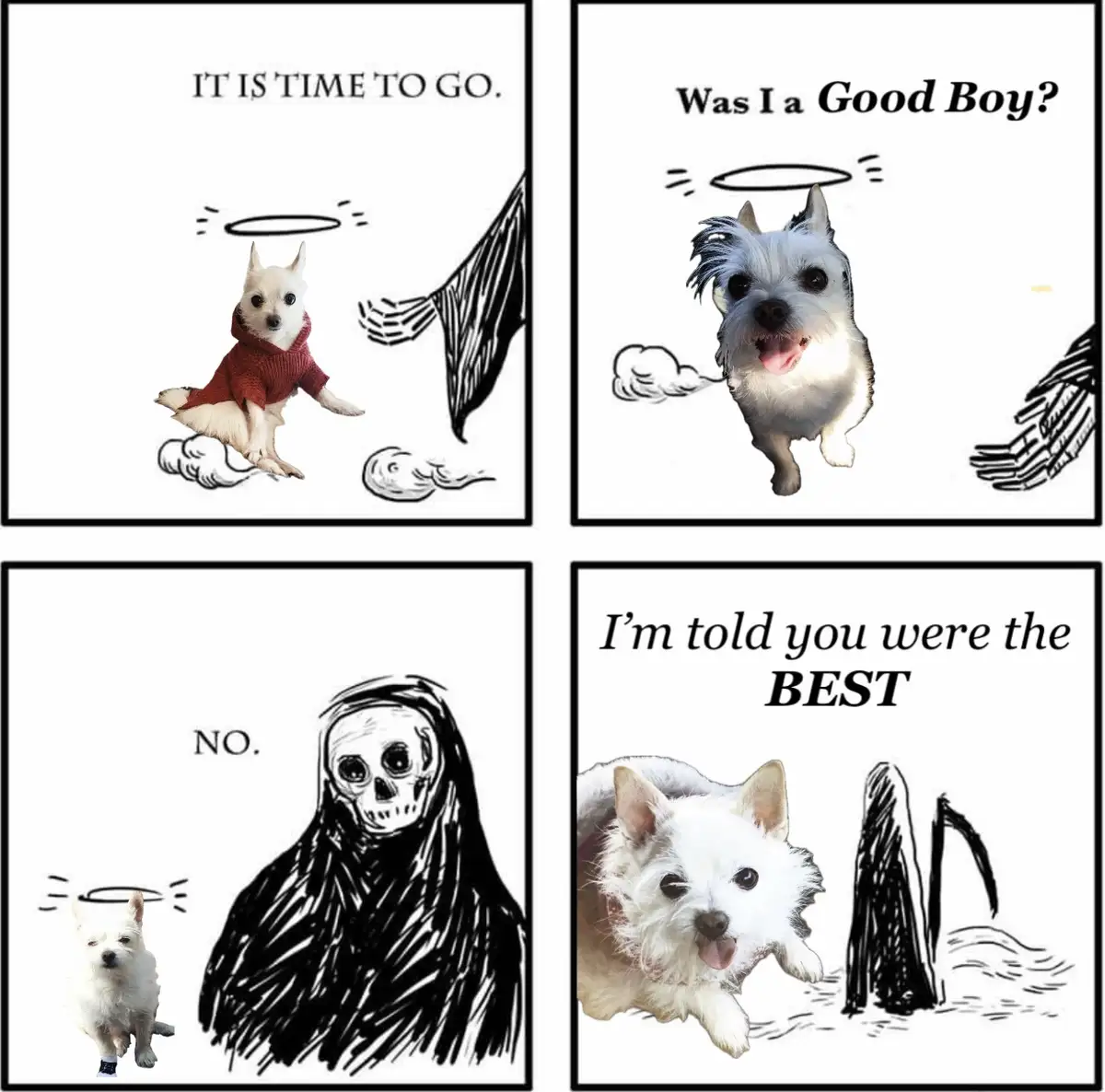 A four-panel comic strip featuring a small white dog. In the first panel, the dog, wearing a red sweater and with a halo, is…