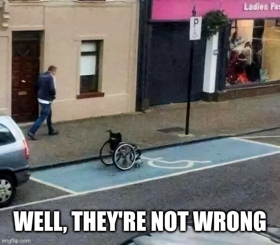 A black cat is sitting in an empty wheelchair parked in a blue designated accessible parking space marked with a white…