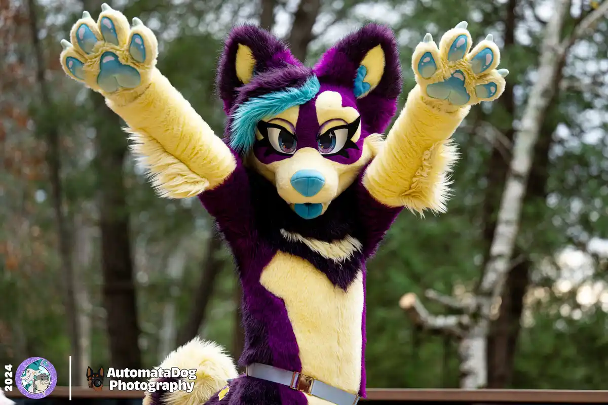 A daily snapshot from a furry photographer - Day 457
