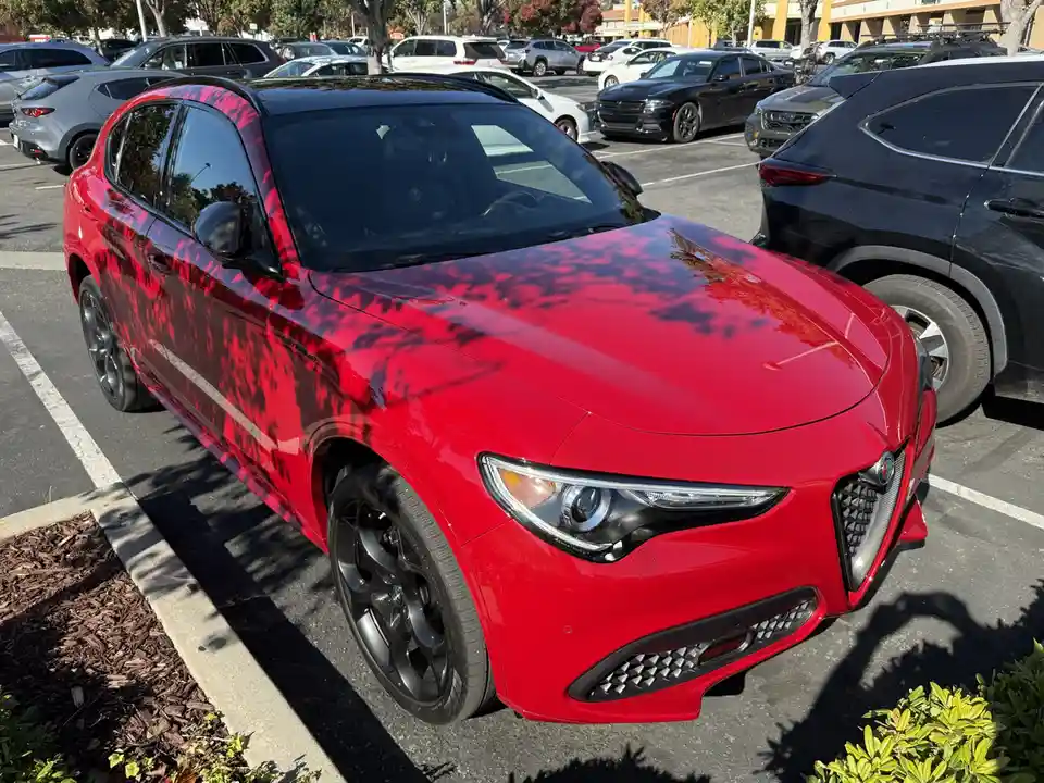 A bright red Alfa Romeo Stelvio SUV is parked in a lot, its glossy paint reflecting the dark silhouettes of tree branches…