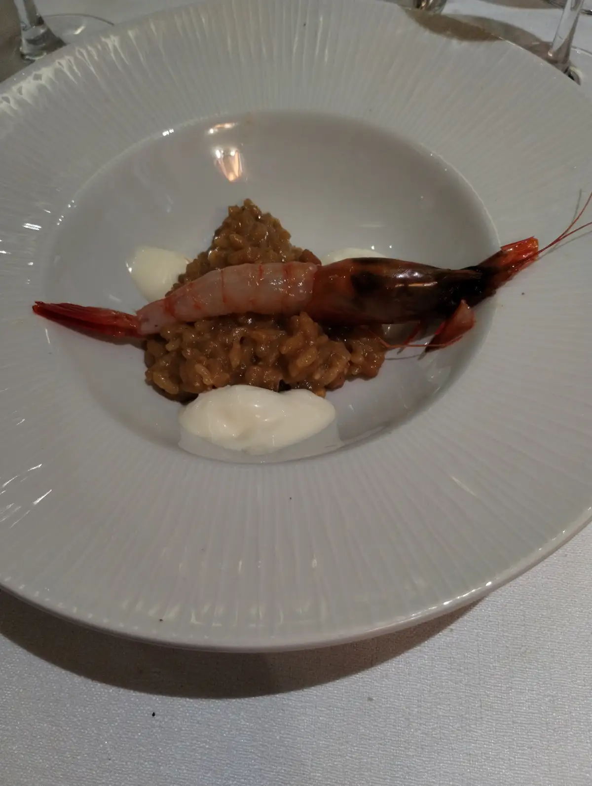 A close-up of a white, ridged ceramic bowl containing a serving of brown risotto topped with a single large cooked shrimp…