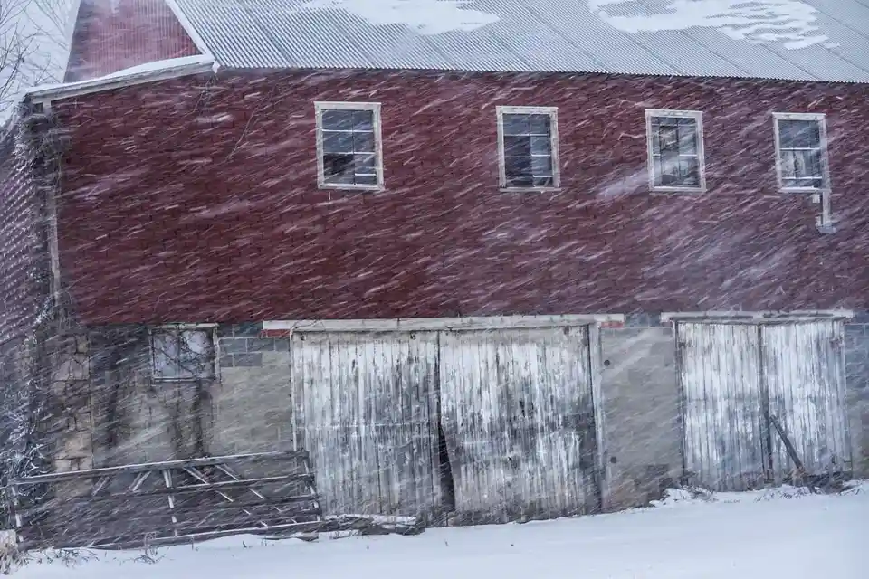 A red barn with weathered wooden doors and windows is shown during a heavy snowstorm, with snowflakes visibly swirling in…