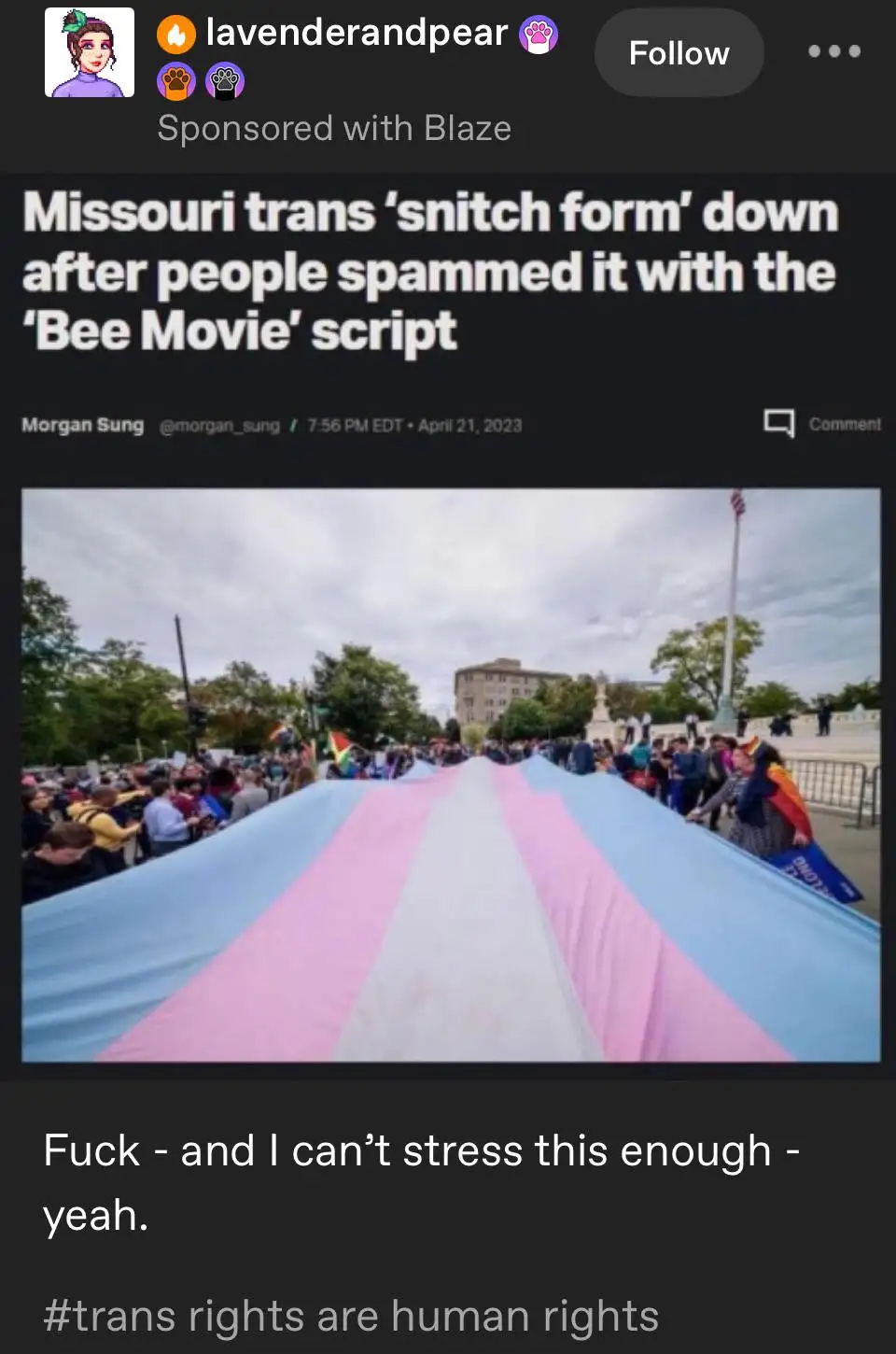 An image of a large trans pride flag being held by a crowd at an outdoor protest or rally, with a news headline overlay…
