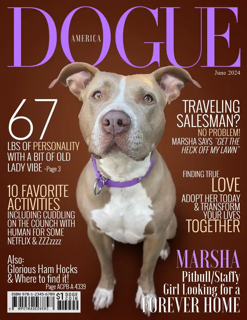 A dog, identified as Marsha, is featured on a parody magazine cover styled like Vogue America, dated June 2024. The cover…